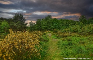 An area of green and yellow heathland and grassland is seen under threatening skies