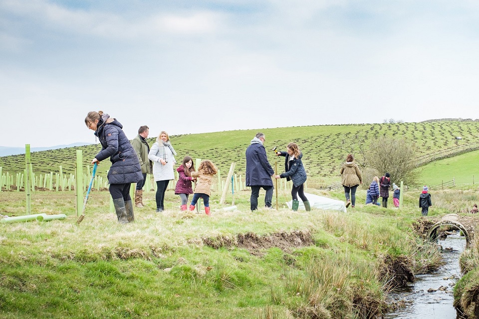 Adults and children working in a field by a stream to plant trees. There are lots of sapling protectors in the fields, showing ongoing tree planting work.