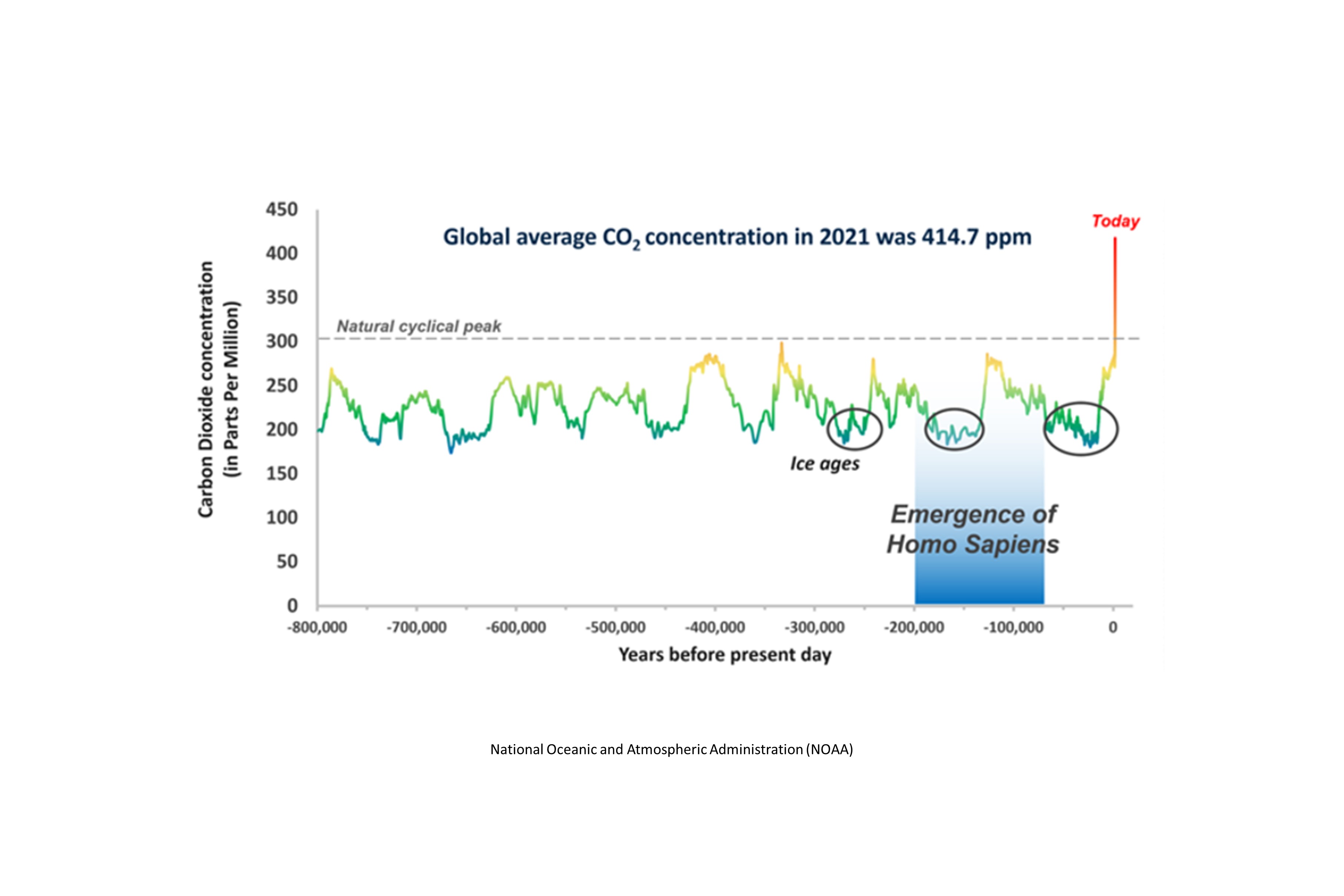 Global average carbon dioxide concentration