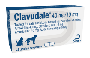 Упаковка для таблеток Клавудейл 40 мг/10 мг для кошек и собак