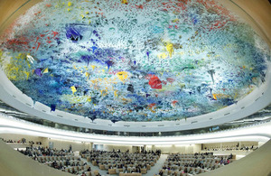 The UN Human Rights Council