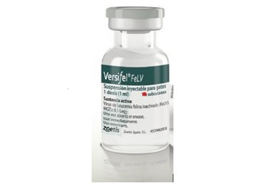 Cat leukemia vaccine shop