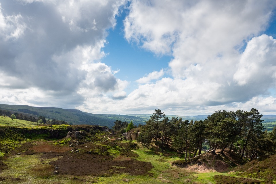 Nature recovery projects to boost wildlife and access to nature