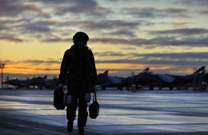 Harrier pilot