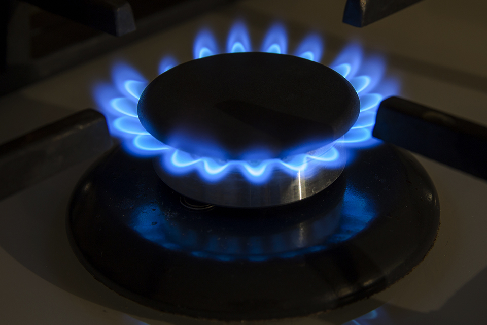 Swan gas store hob