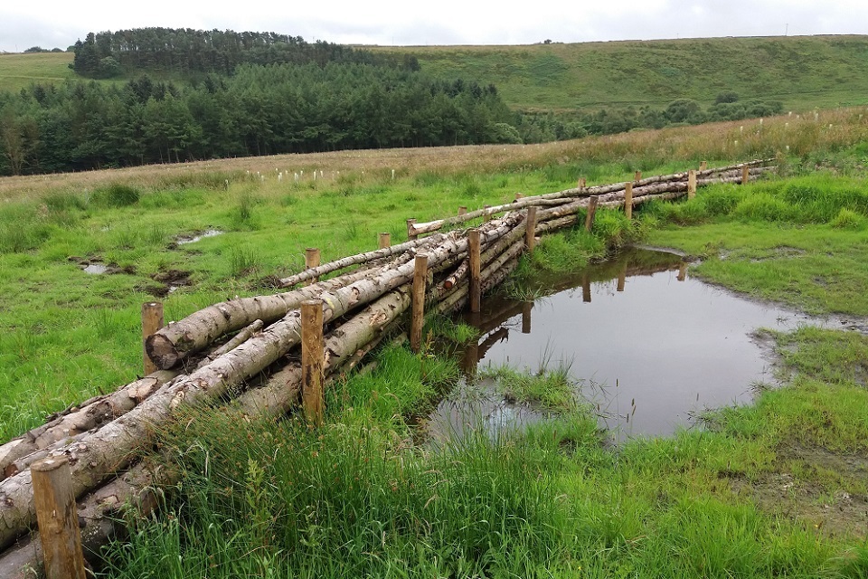 £25 million for projects using nature to increase flood resilience