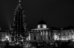 Christmas tree- Nelson's Column