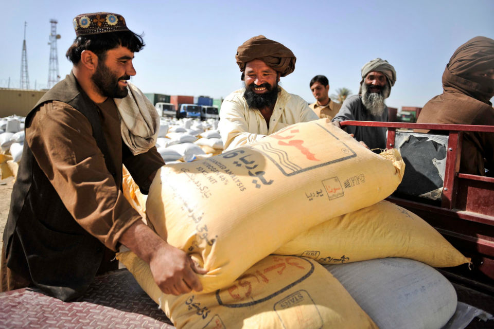 Afghan wheat farmers moving large bags of wheat.