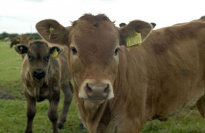 Cuts to red tape to save farmers and taxpayers £70m