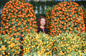 A flower garden in Hong Kong during Lunar New Year