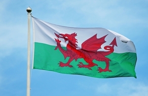 The Welsh Flag