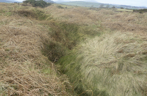 First World War practice trench