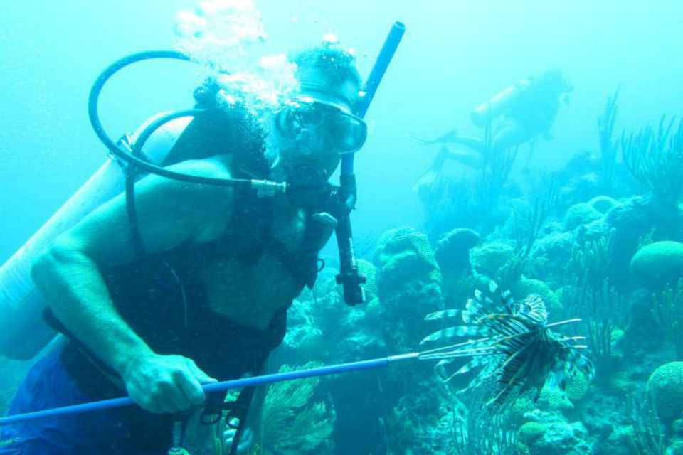 Scuba diver spearing a lionfish
