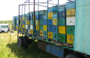 Bee hives on a lorry