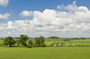 Rural landscape showing fields and trees