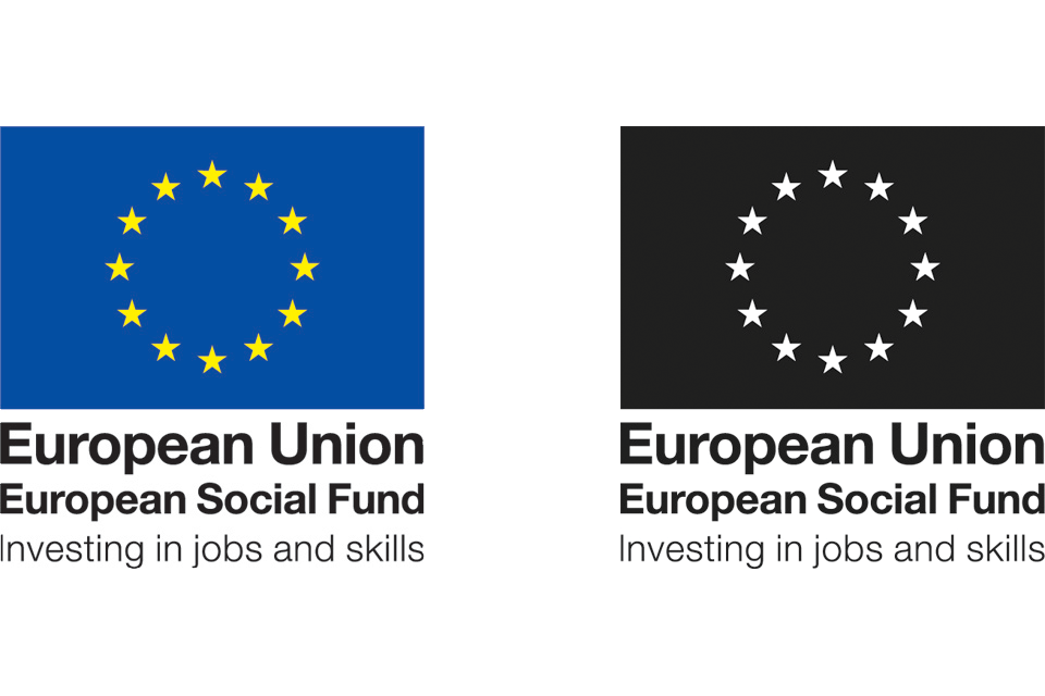 Examples of the ESF logo