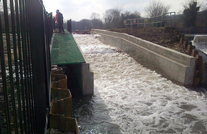 Sprotbrough fish pass