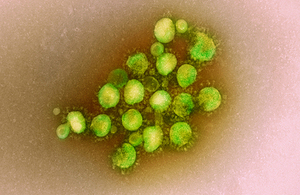 Coronavirus