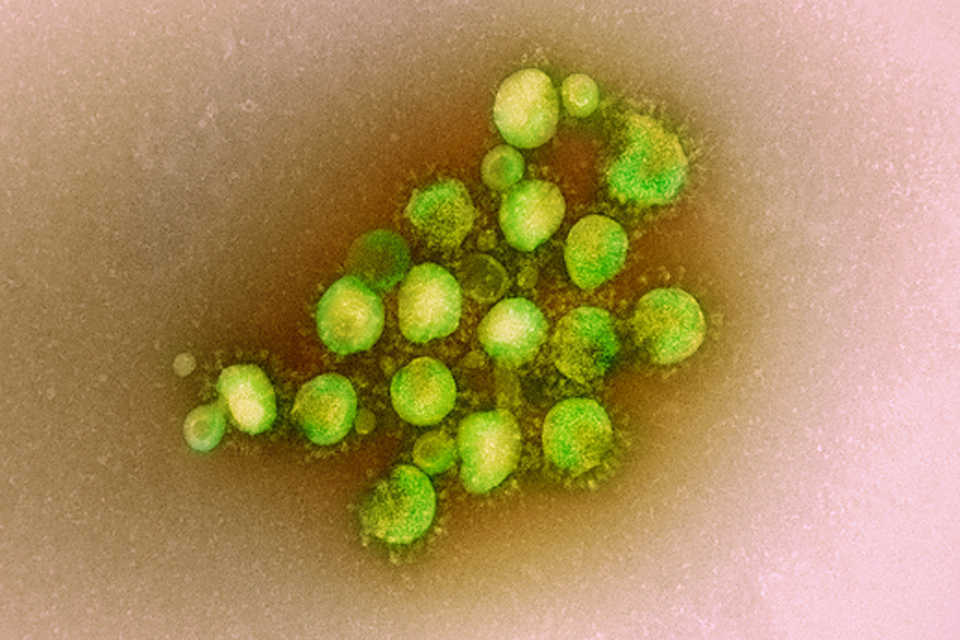 PHE provides MERS warning posters to airports - GOV.UK