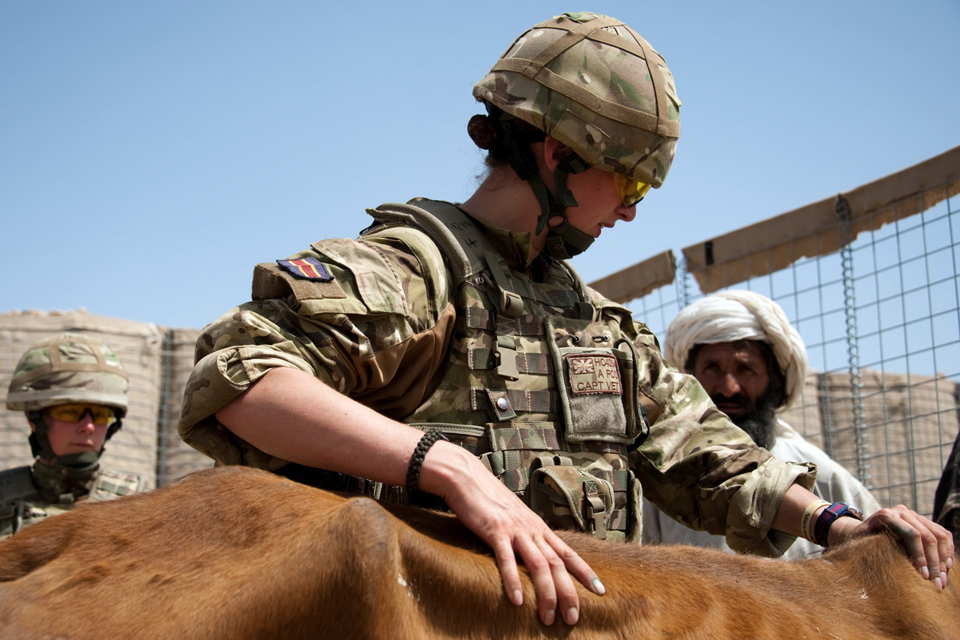 British Army vetinary engagement team at work in southern Afghanistan
