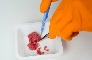 Meat being prepared for analysis in a Government Chemist laboratory.