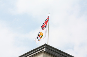 BAT Flag