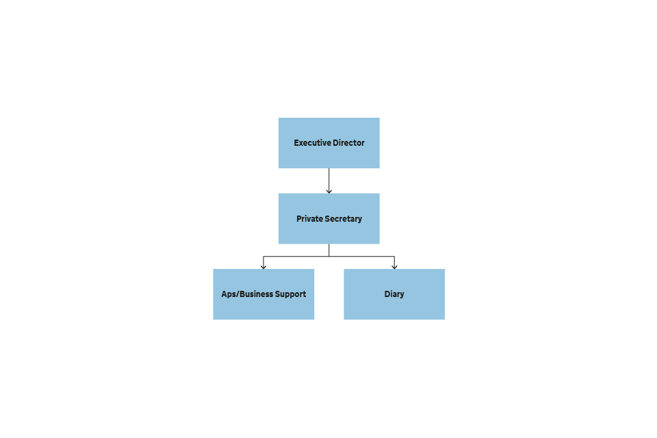 Figure 11 Structure of the Executive Director's Office