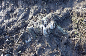 Sewage waste spread across the field