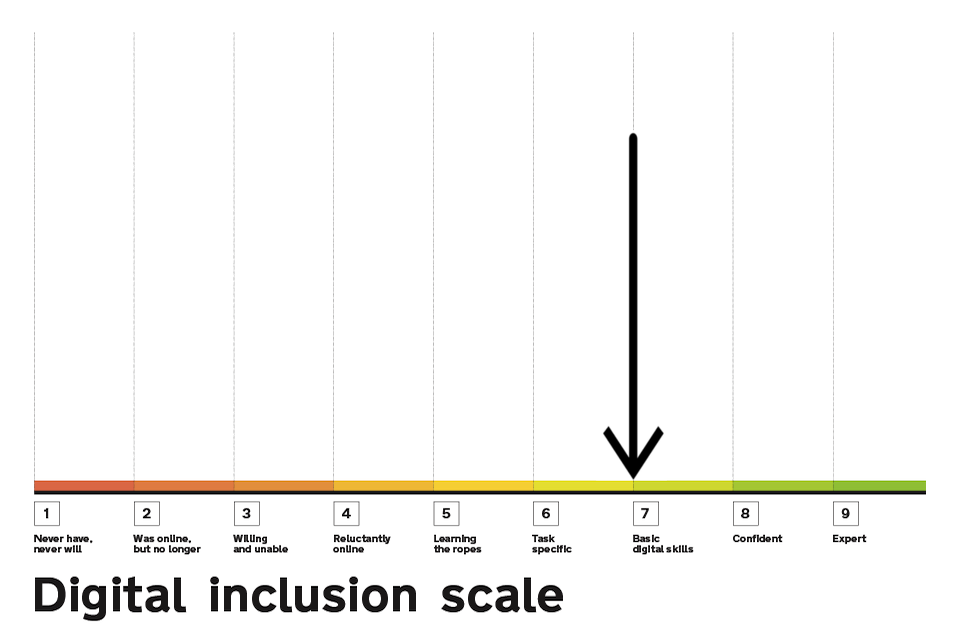 Digital Inclusion Scale highlighting point 7