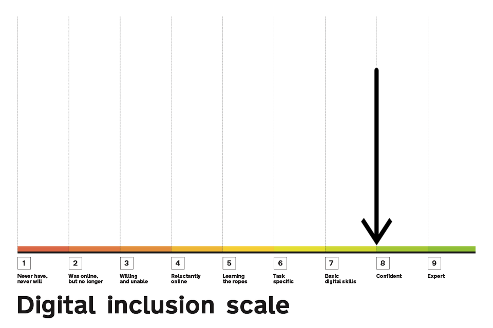 Digital Inclusion Scale highlighting point 8