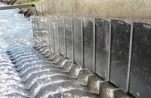 Buttercrambe fish pass