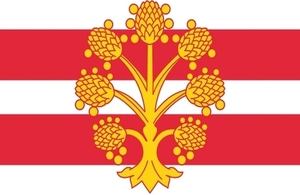 Westmorland flag