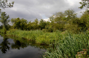 Bure Marshes in Norfolk