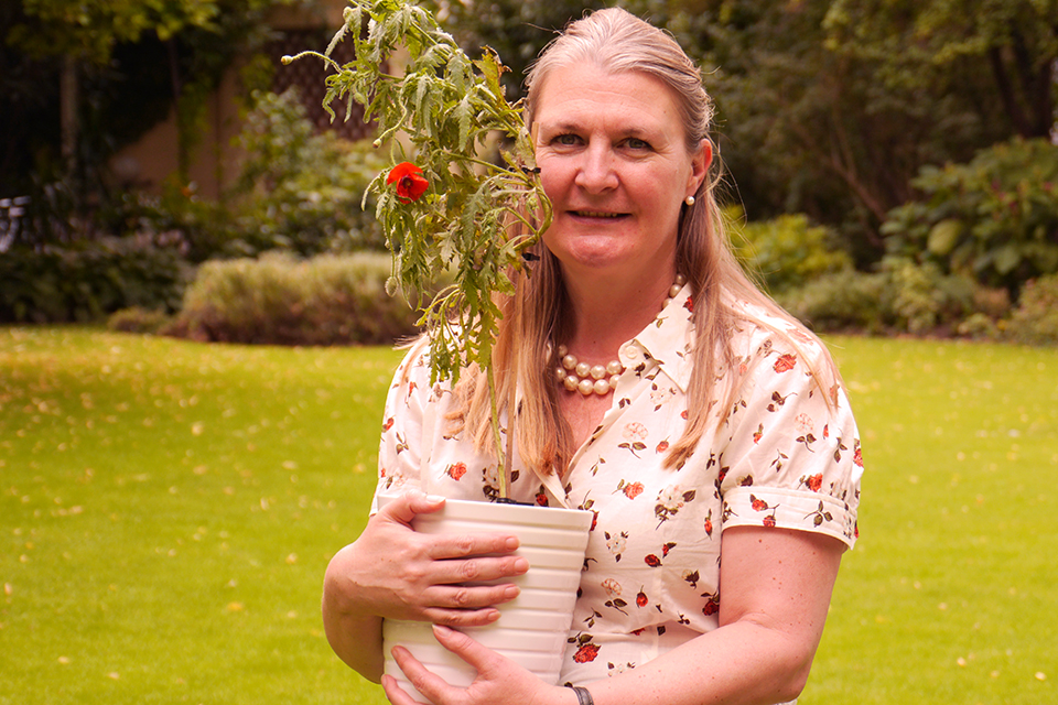 Ambassador Susan le Jeune d'Allegeershecque planting poppies in the Embassy Residence, Vienna