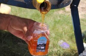 Sweet Helmand Honey
