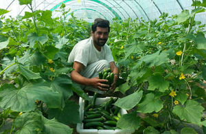 Comprehensive Agriculture and Rural Development Facility Helmand