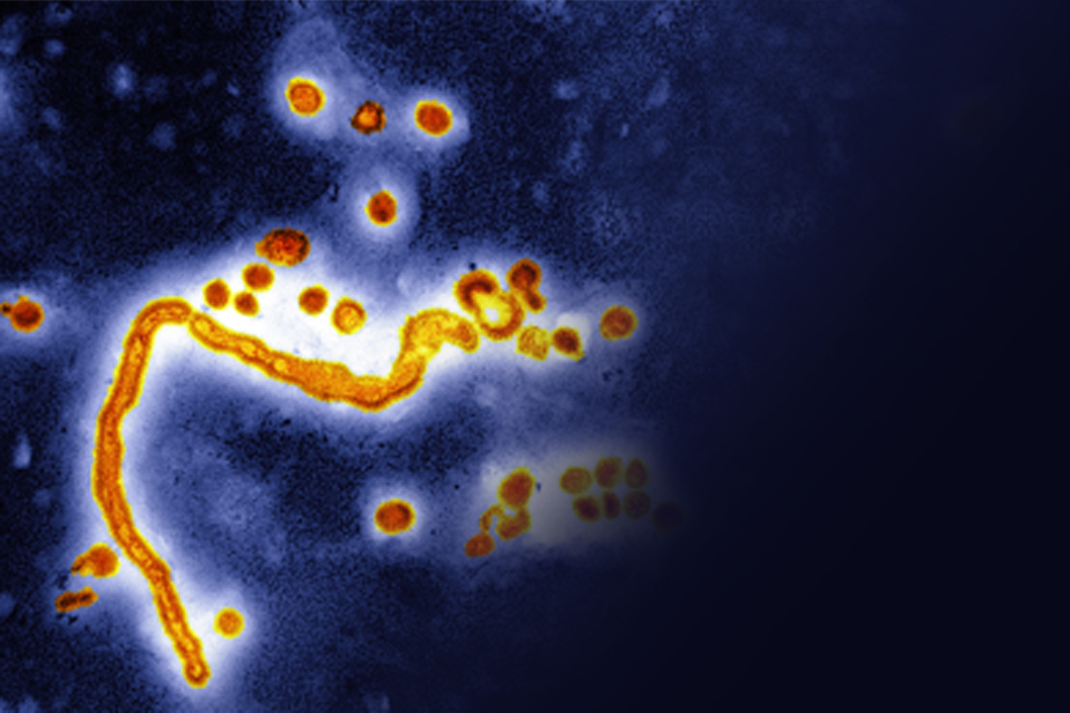 Withdrawn First monthly flu vaccination figures released - GOV.UK