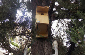 birdhouses