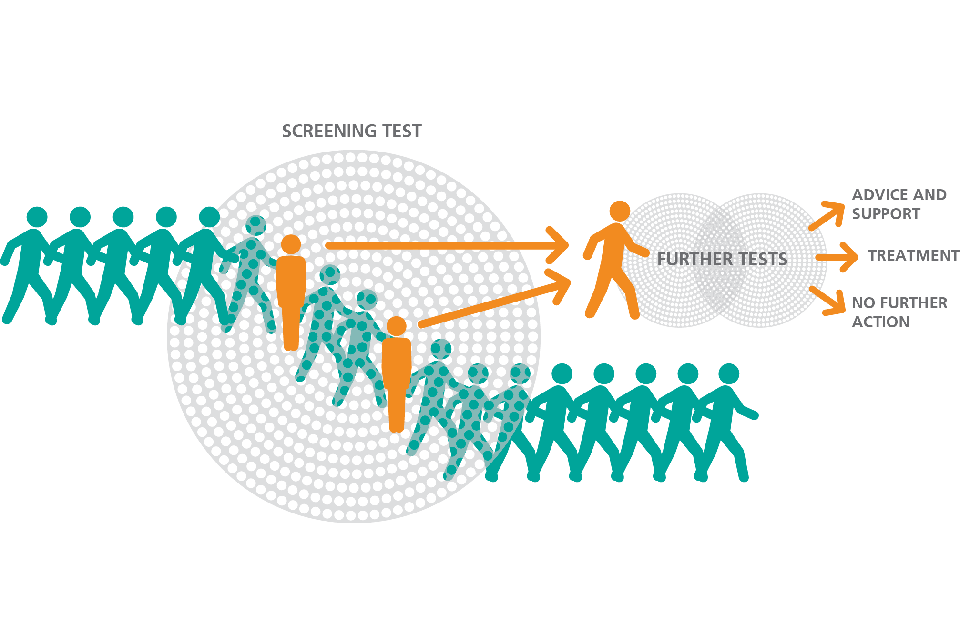 Helping on tests. Screening Test. Mental Health Screening data. Embership Screening. Membership Screening где находится.