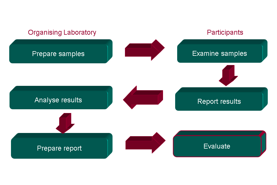 Diagram showing the proficiency testing (PT) process