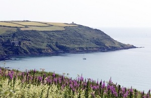 Rame Head from Whitsand Bay