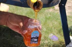 Helmand Honey