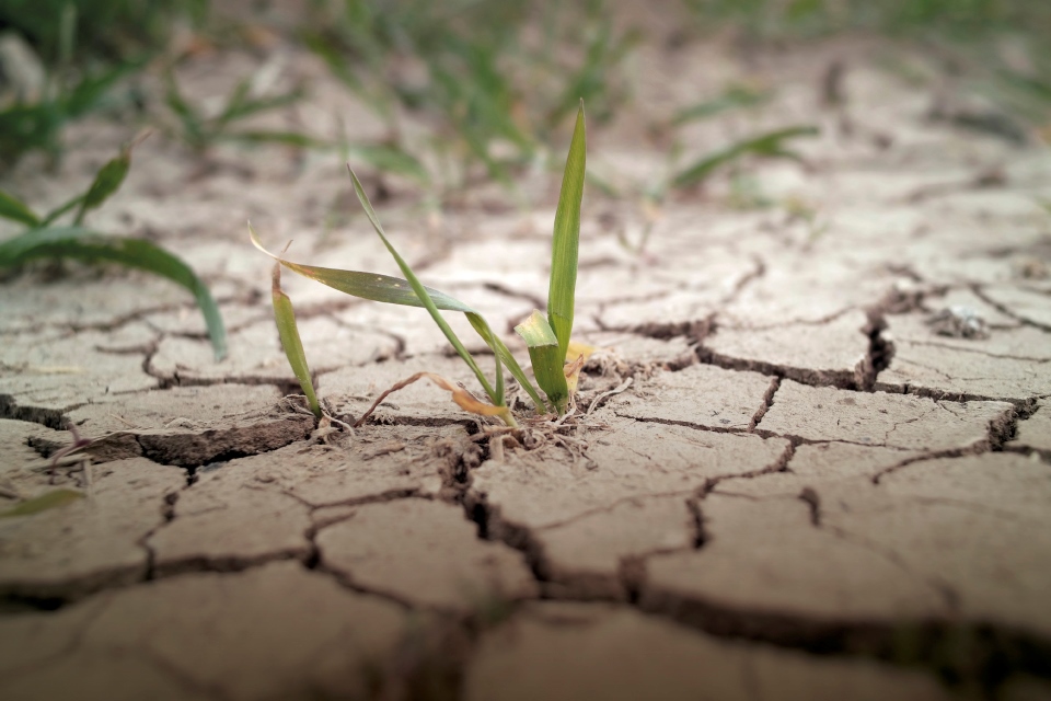 Water sourcing (c) iStock