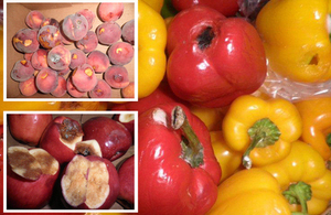 Rotten peaches, peppers and apples: Bradford shopkeeper sentenced