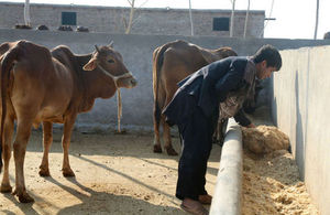 Farm - Photo Credit World Bank