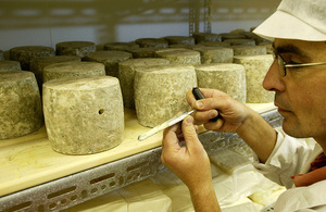 Picture of Cheese