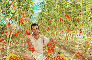 Greenhouse technology