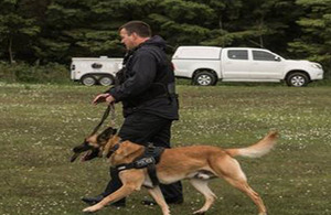 CNC dog and handler at the event