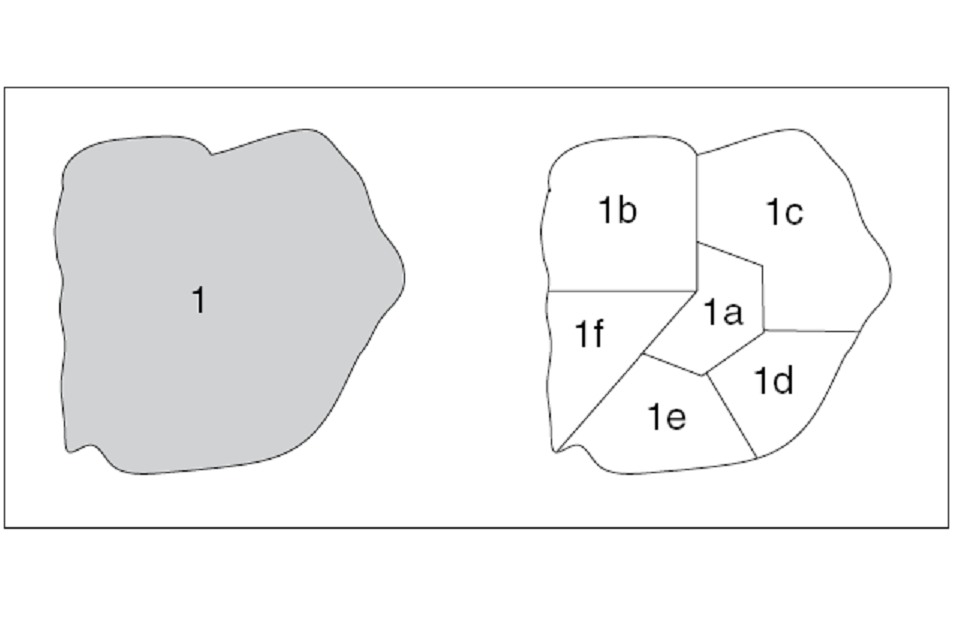 Examples of compartments and subcompartments