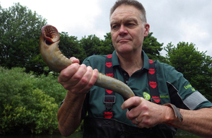 Fisheries Technical Officer Paul Frear holding a lamprey